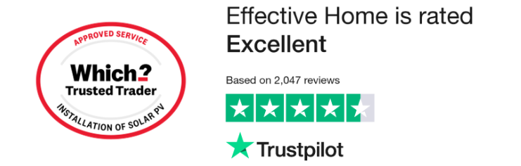 Which + Trust Pilot Which + Trust Pilot